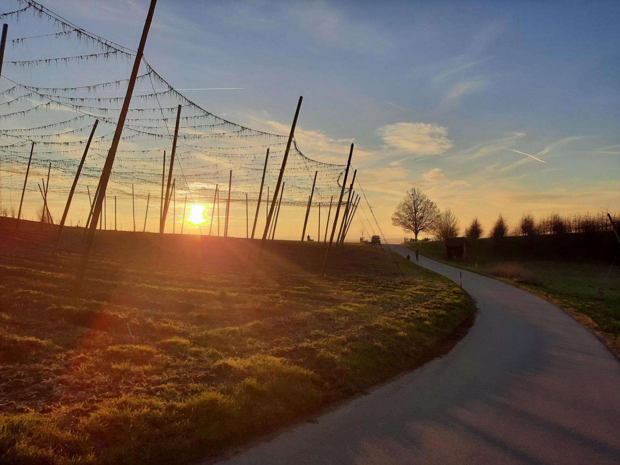 Am Dorfweiher Tettnang Esterno foto