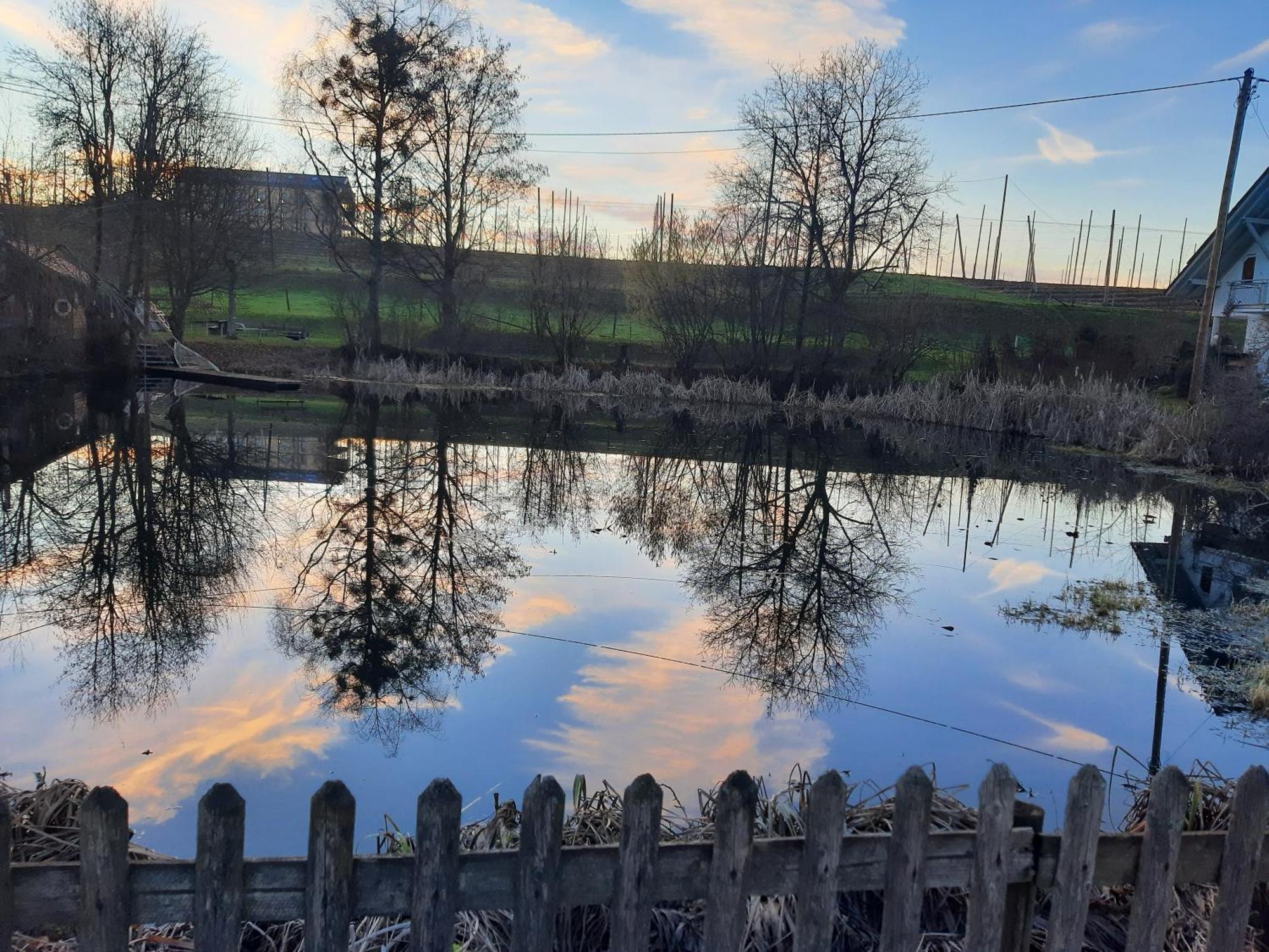 Am Dorfweiher Tettnang Esterno foto